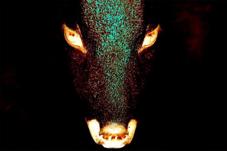 "ANIMALS" Art exhibition project