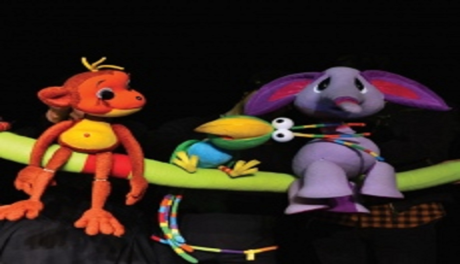 Monkey adventures